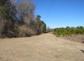 SOLD!!  110 Acres of Farm and Timber Land For Sale in Columbus County NC!