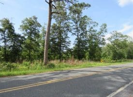 SOLD!!  70 Acres of Farm and Timber Land For Sale in Scotland County NC!