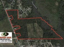 SOLD!!  58 Acres of Farm and Timber Land For Sale in Scotland County NC!