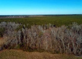 SOLD!!  2.45 Acres of Residential Land For Sale in Pender County NC!