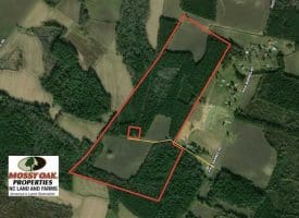 SOLD!!  97 Acres of Farm and Timber Land For Sale in Columbus County NC!