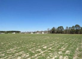 SOLD!!  73 Acres of Farm and Timber Land For Sale in Robeson County NC!