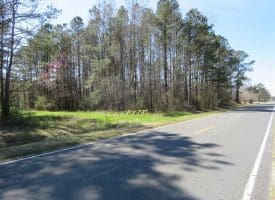 SOLD!  39 Acres of Timber and Hunting Land For Sale in Cumberland County NC!