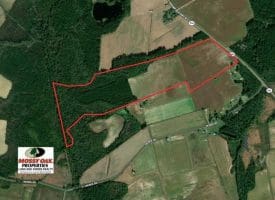 SOLD!!  97 Acres of Farm and Timber Land For Sale in Columbus County NC!