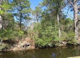 SOLD!!  41 Acres of River Front Hunting Land For Sale in Carteret County NC!