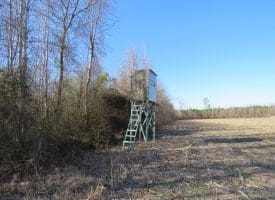 SOLD!!  70 Acres of Farm and Timber Land For Sale in Hoke County NC!
