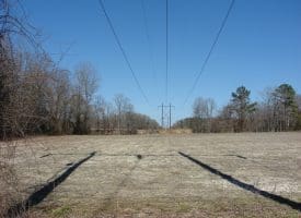 SOLD!!  50 Acres of Farm and Timber Land For Sale in Robeson County NC!