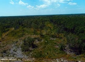 SOLD!! 7 Acres of Residential and Hunting Land For Sale in Brunswick County NC!