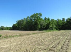SOLD!! 380 Acres of Farm and Timber Land For Sale in Robeson and Hoke Counties!
