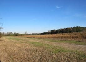 SOLD!  112 Acres of Farm and Recreational Land For Sale in Robeson County NC!