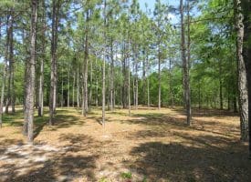 SOLD!!  1.33 Acres with Home For Sale in Sampson County NC!