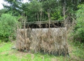 SOLD!!  101 Acres of Hunting Land For Sale in Cumberland County NC!