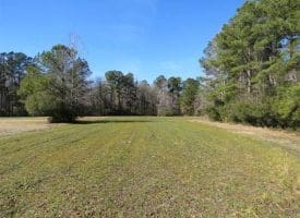 SOLD!!  110 Acres of Farm and Timber Land For Sale in Columbus County NC!