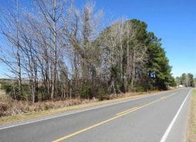 SOLD!!  110 Acres of Farm and Timber Land For Sale in Columbus County NC!