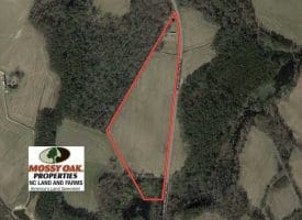 SOLD!!  20 Acres of Farm Land For Sale in Robeson County NC!