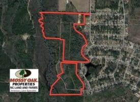 SOLD!!  77 Acres of Hunting Land For Sale in Scotland County NC!