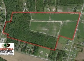 SOLD!!  58 Acres of Farm and Timber Land For Sale in Robeson County NC!
