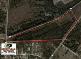 SOLD!! 25 Acres of Timber Land For Sale in Hoke County NC!