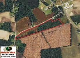 SOLD!! 23 Acres of Farm and Timber Land For Sale in Sampson County NC!