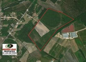 SOLD!!  113 Acres of Timber and Farm Land For Sale in Hoke County NC!
