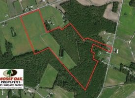 SOLD!! 76 Acres of Farm and Timber Land For Sale in Robeson County NC!