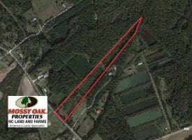 SOLD!!  8 Acres of Residential and Hunting Land For Sale in Brunswick County NC!