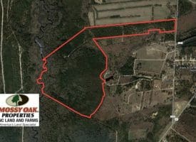 SOLD!!  139 Acres of Timber and Hunting Land For Sale in Hoke County NC!