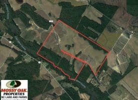SOLD!! 380 Acres of Farm and Timber Land For Sale in Robeson and Hoke Counties!