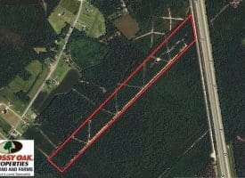 SOLD!!  28 Acres of Hunting Land For Sale in Pender County NC!