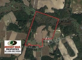 SOLD!!  113 Acres of Farm and Timber Land For Sale in Robeson County NC!