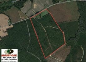 SOLD!!  106 Acres of Residential Farm and Timber Land For Sale in Sampson County NC!