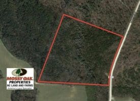 SOLD!! 24 Acres of Timber Land For Sale in Cumberland County NC!