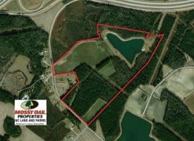 SOLD!  112 Acres of Farm and Recreational Land For Sale in Robeson County NC!