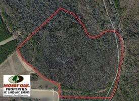 SOLD!!  65 Acres of Hunting Land For Sale in Robeson County NC!