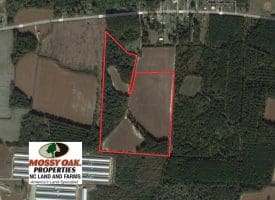 SOLD!!  36 Acres of Farm and Timber Land For Sale in Robeson County NC!