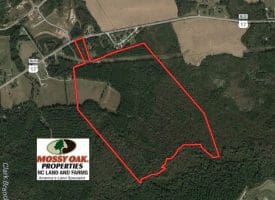 SOLD!!  138 +/- Acres of Farm and Timber Land For Sale in Brunswick County NC!