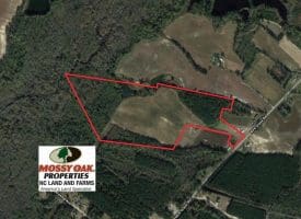 SOLD!!  50 Acres of Farm and Timber Land For Sale in Robeson County NC!