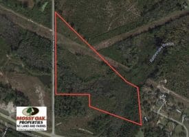 SOLD!!  23 Acres of Hunting Land For Sale in Brunswick County NC!
