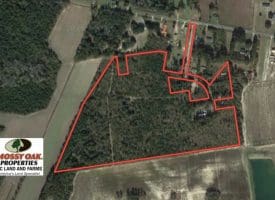SOLD!!  35 Acres of Hunting Land For Sale in Columbus County NC!