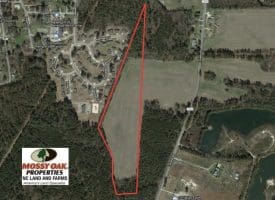SOLD!!  18 Acres of Farm and Timber Land For Sale in Robeson County NC!