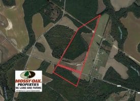 SOLD!!  70 Acres of Farm and Timber Land For Sale in Hoke County NC!