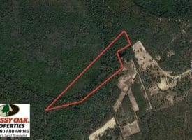 SOLD!! 25 Acres of Hunting Land For Sale in Bladen County NC!