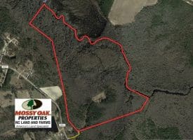 SOLD!!  101 Acres of Hunting Land For Sale in Cumberland County NC!