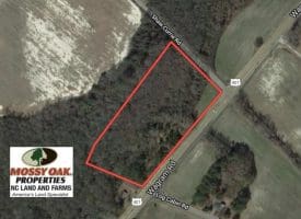 SOLD!!  8 Acres of Timber and Potential Commercial Land For Sale in Scotland County NC!