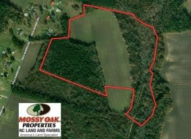 SOLD!!  47 Acres of Farm and Timber Land For Sale in Columbus County NC!