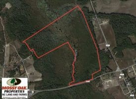 SOLD!!  122 Acres of Duck Hunting Land For Sale in Robeson County NC!
