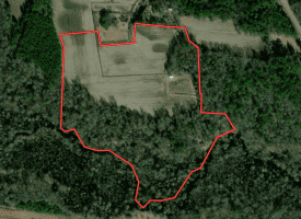 SOLD!  29 Acres of Hunting and Farm Land For Sale in Duplin County NC!
