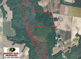 SOLD!!  52 Acres of Hunting and Timber Land For Sale in Robeson County NC!