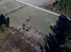 5+/- Acres of Farm Land For Sale in Horry County SC!