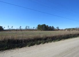 5+/- Acres of Farm Land For Sale in Horry County SC!